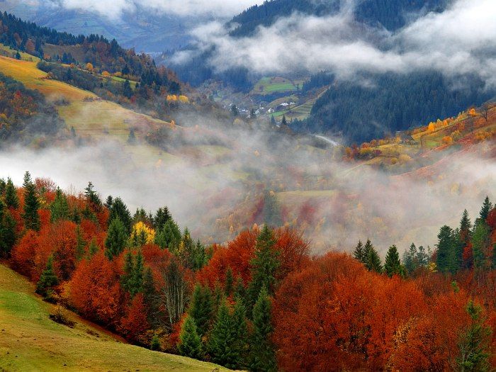 ส่วนที่เหลือใน Transcarpathia ในฤดูใบไม้ร่วง - มีประโยชน์กับการที่น่ารื่นรมย์