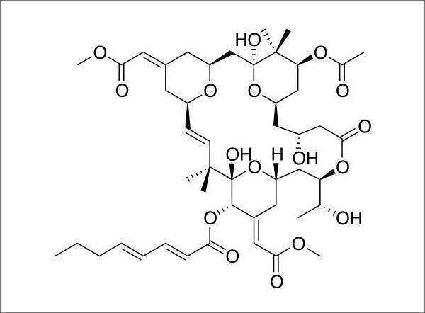 มีการสังเคราะห์ยาที่มีประสิทธิภาพในการต่อต้านเชื้อ HIV แฝง