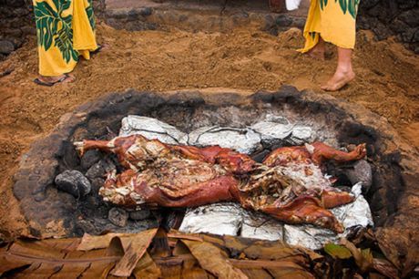 15. หมูป่าสหรัฐอเมริกา