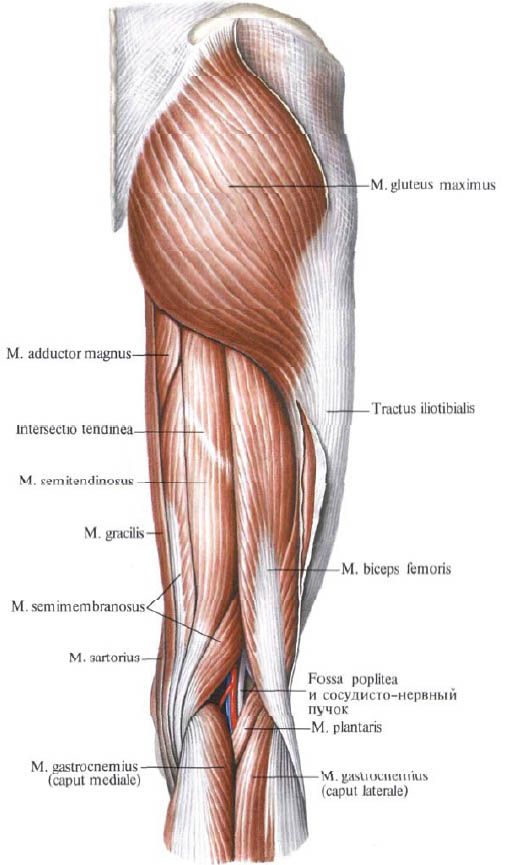 durere la apariția articulației genunchiului Cum se tratează artroza degetului de la picior